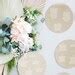Custom DIY Wedding Seating Chart Circle Panels, Escort Card Panels, Gold Mirror Hanging Charts ...