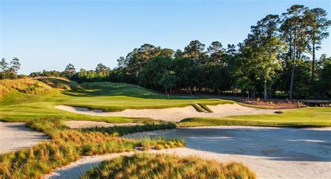 #13 True Blue Golf Course, Pawleys Island, SC | Caledonia golf, Golf ...