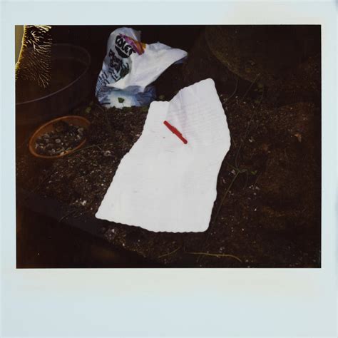 Kurt Cobain Death Scene Photos - New Kurt Cobain death scene photos ...