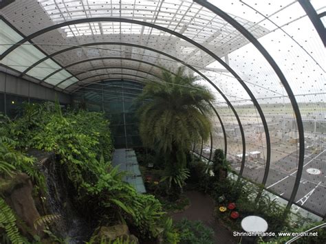 Butterfly garden at Changi Airport Singapore - eNidhi India Travel Blog