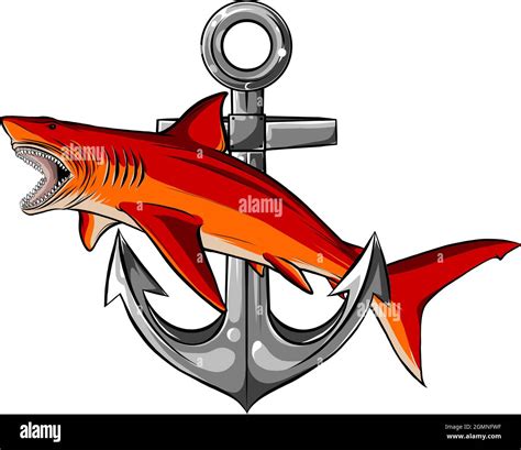 vector illustration of shark with anchor design Stock Vector Image & Art - Alamy