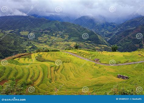 Farmer Harvesting Salt in Salt Fields Stock Image - Image of church ...