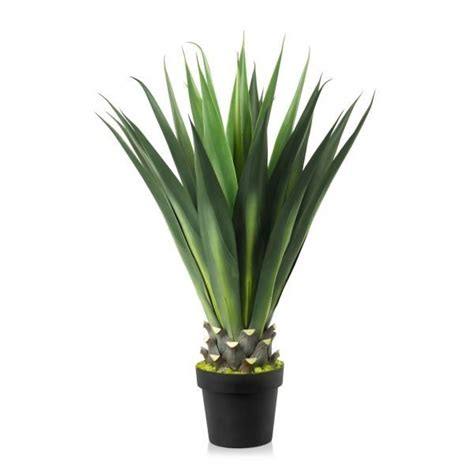 Artificial Agave - Feelreal - Premier Supplier of Lifelike Artificial ...