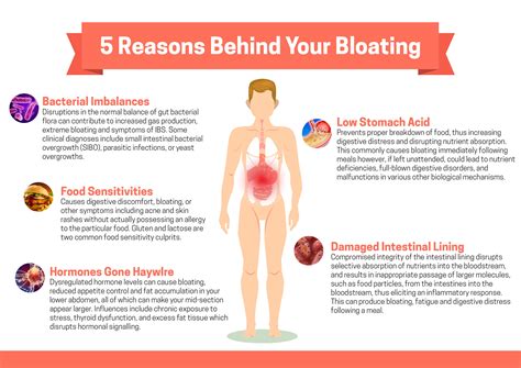 5 Reasons Behind Your Bloated Belly – Fact vs Fitness