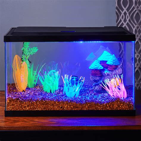 Best 10 Gallon Aquarium - Aquarium Dimensions