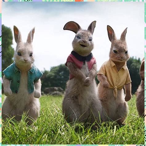 Peter Rabbit 2 Cast Thomas - Pet Spares