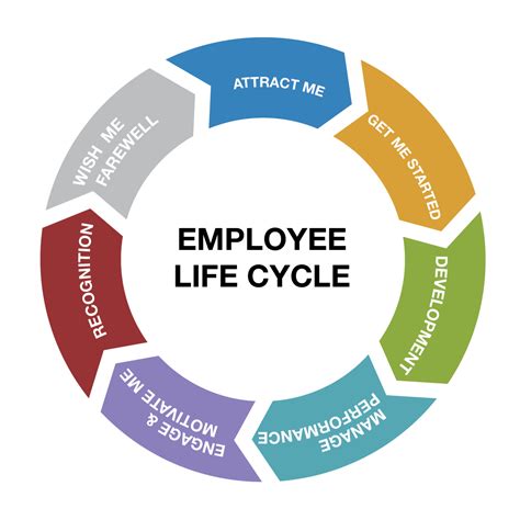 employee life cycle info graphic | Human resource management student ...