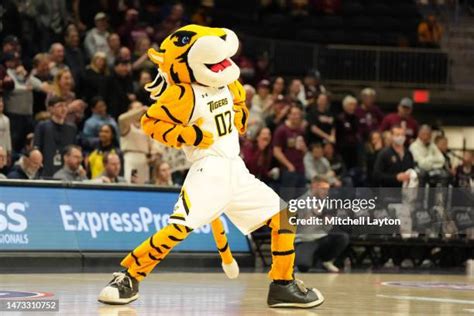 Towson Mascot Photos and Premium High Res Pictures - Getty Images