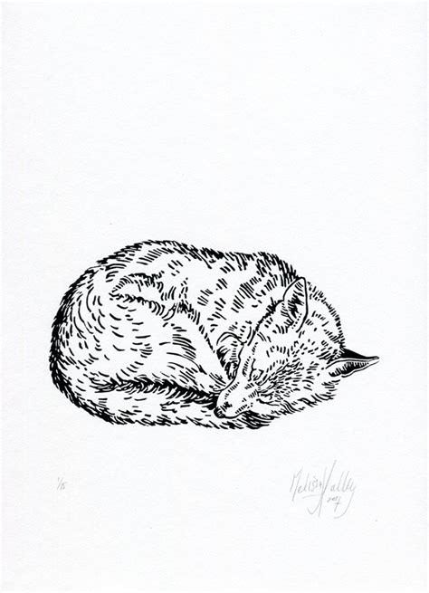 Sleeping Fox Sketch at PaintingValley.com | Explore collection of ...