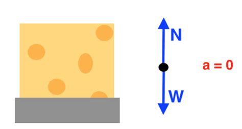 Gravity Force Diagram