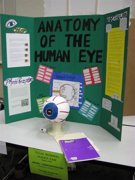 Science Fair Ideas Biology