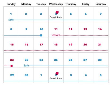 Menstrual Cycle Calendar