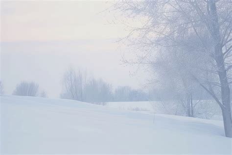 Winter snow landscape blizzard. | Premium Photo - rawpixel