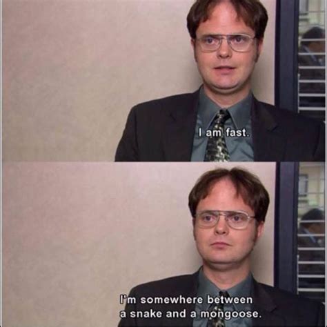 List : 25+ Best Dwight Schrute Quotes (Photos Collection) | Office ...