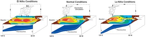 El Nino Southern Oscillation | Reef Resilience