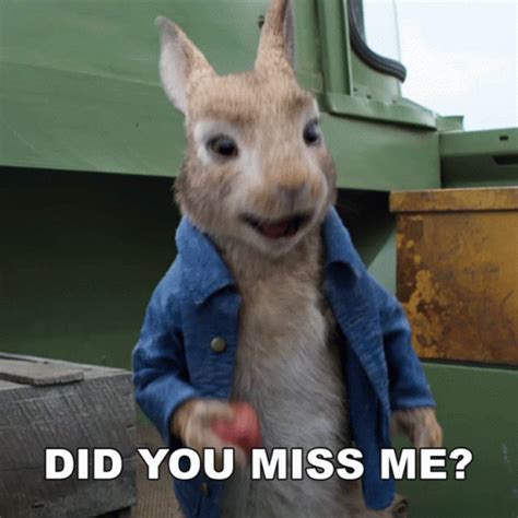 Did You Miss Me Peter Rabbit GIF - Did You Miss Me Peter Rabbit Peter ...