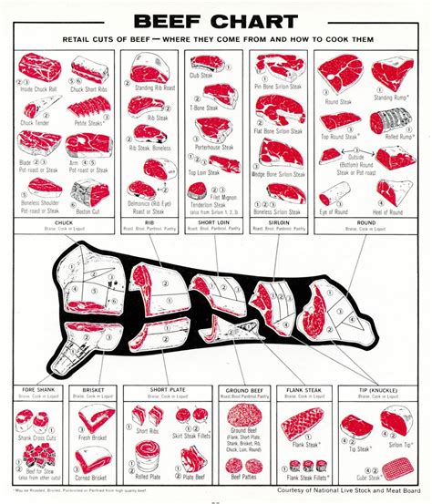 Beef meat chart - know your cuts of beef, steak, brisket, flank, ribeye, filet mignon ...