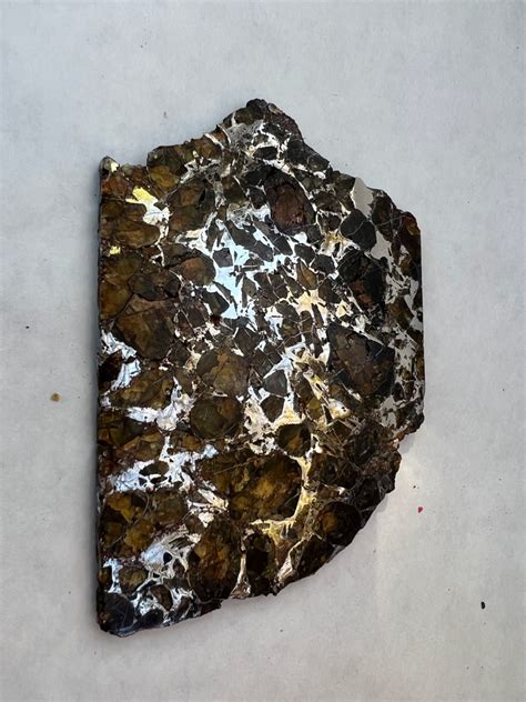 Pallasite Meteorite Slice | Southwest Meteorite Laboratory