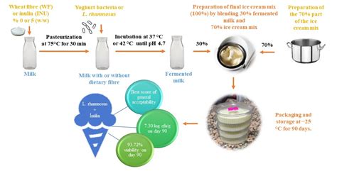 Lactic Acid Fermentation Yogurt