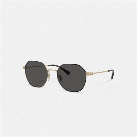 COACH Hinged Geometric Round Sunglasses for Men | Lyst