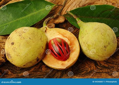 Nutmeg fruits stock image. Image of condiment, spice - 44346807