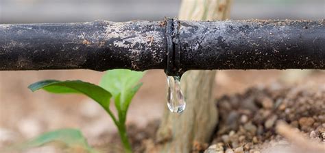 Drip Irrigation: Full Guide │ Function │ Parts - AGRIVI