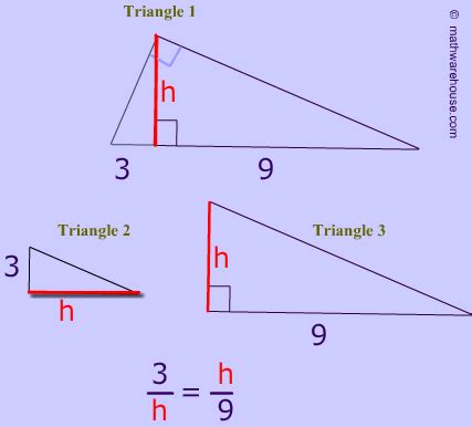 42 similar right triangles worksheet - Worksheet For Fun