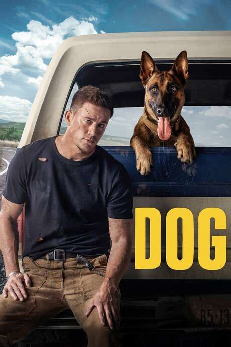 ‎Dog (2022) directed by Channing Tatum, Reid Carolin • Reviews, film + cast • Letterboxd