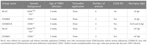 Frontiers | CD28-signaling can be partially compensated in CD28-knockout mice but is essential ...