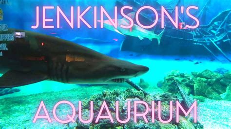 Jenkinson's Aquarium Tour - Sharks, Seals, and Penguins! - YouTube