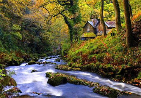 Forest Cottages HD desktop wallpaper : Widescreen : High Definition ...