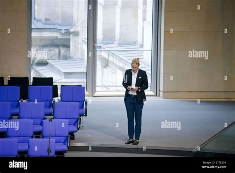 Alice Weidel, AFD, steht im Plenum des Bundestages. Berlin, 15.11.2023 ...