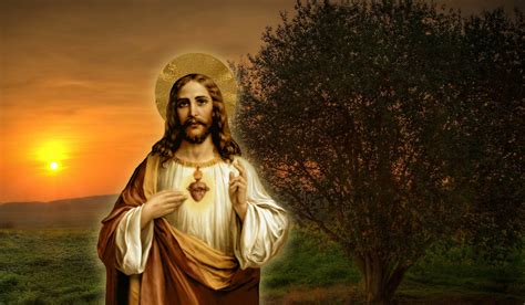 Sacred Heart Of Jesus Wallpapers - Wallpaper Cave