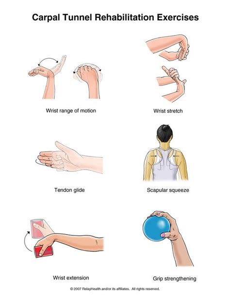 carpal tunnel | Carpal tunnel exercises, Hand therapy, Massage therapy