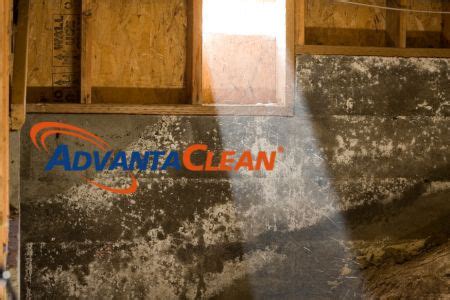 A Crawl Space Should Not Have a Pest Problem | AdvantaClean