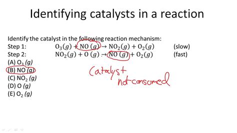 Identifying catalysts in a reaction - YouTube