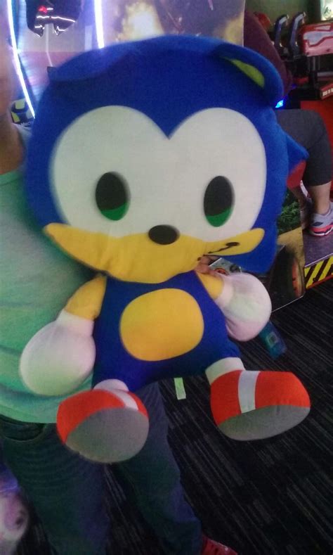 Big sonic plush | Sonic the Hedgehog! Amino