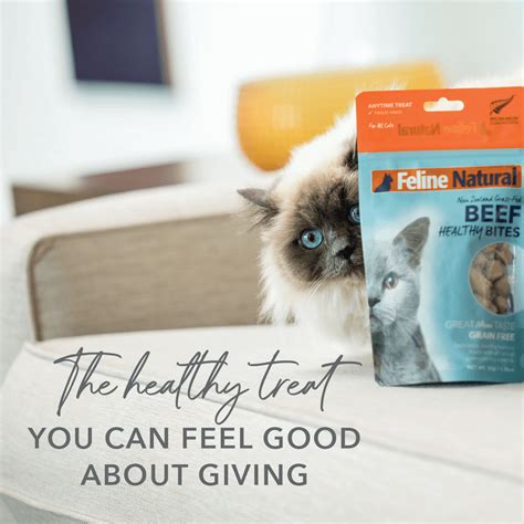 Buy Feline Natural Cat Treats Grain Free Healthy Beef Online | Low Prices, Free Shipping