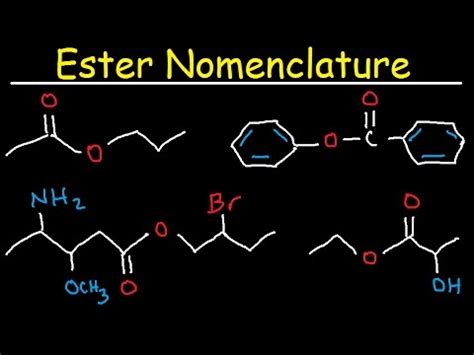 Naming Esters - IUPAC Nomenclature, Branches, Substituents, & Benzene Rings - Organic Chemistry ...