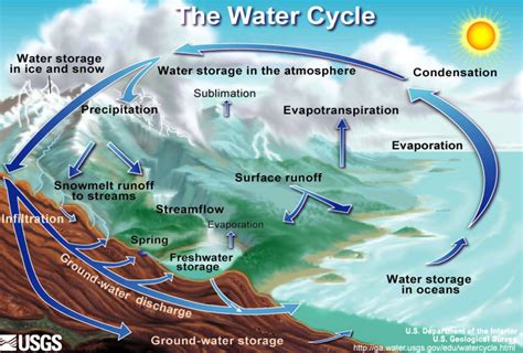 What Is Groundwater In The Water Cycle