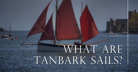 What Are Tanbark Sails? Pros And Cons Over White Sails