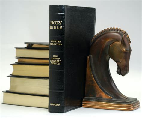 Oxford NRSV 9814A Genuine Leather THE HOLY BIBLE: New Revised Standard ...