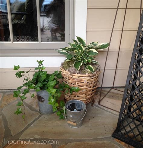 Imparting Grace: Best plants for a shady porch