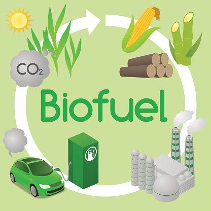 Biofuel Life Cycle, Biomass Ethanol, Diagram Illustration vector images