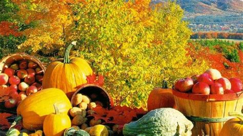 Fall Harvest » Arthatravel.com