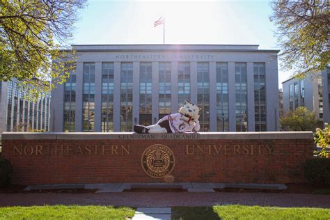 Who is Paws? The team behind the energetic mascot - The Huntington News