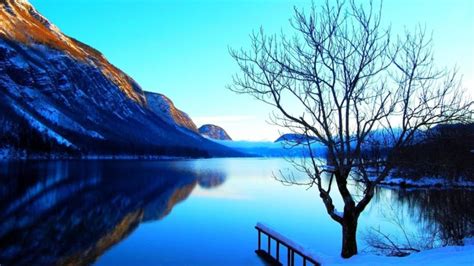 mountains, Landscapes, Nature, Lone, Tree, Natural, Scenery, Pure, Blue ...