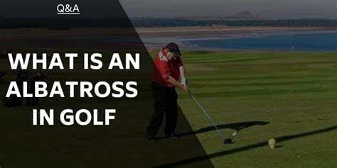 What is an Albatross in Golf? Golfing Terms Explained for Everyone