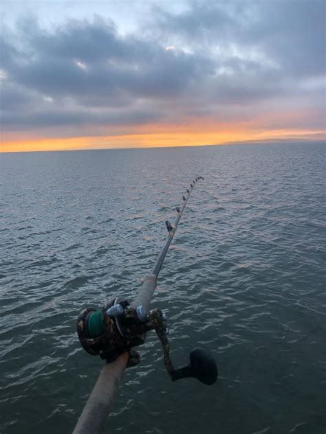 San Pablo Bay Fish Report - Bass-Tub - North Bay Fun - February 9, 2019