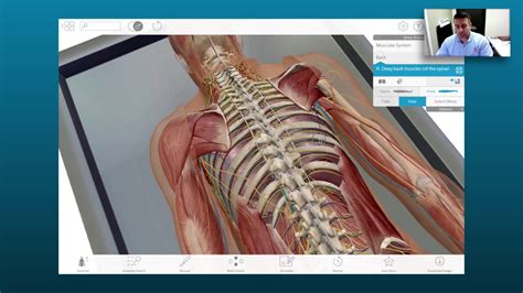 Visual body 3d human anatomy atlas 2 - sellmain